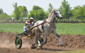 hederlez_2018 копия