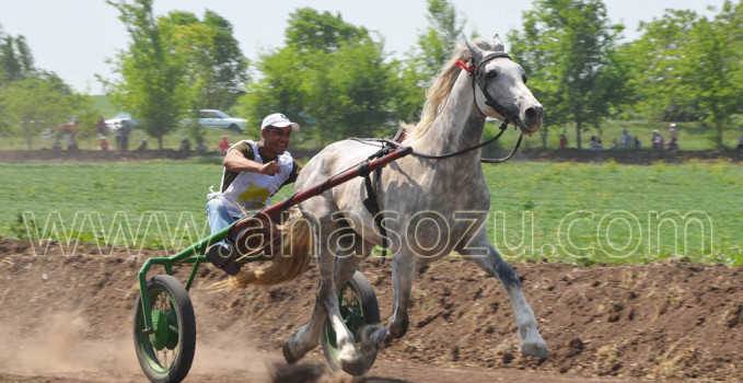 hederlez_2018 копия