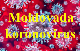 koronavirus_2