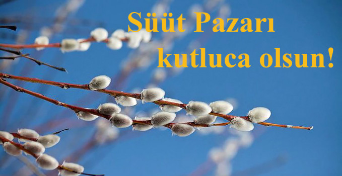 suut_1_1