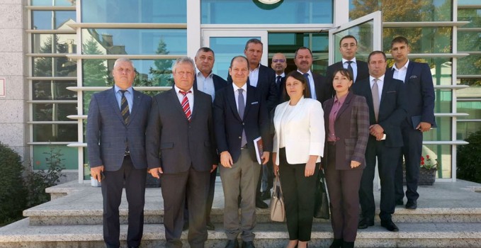 primarlar_buukelcide_1