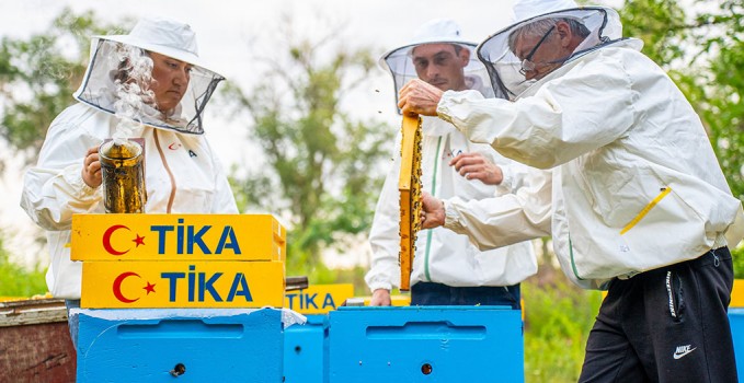 cadır_tika_kuva (1)