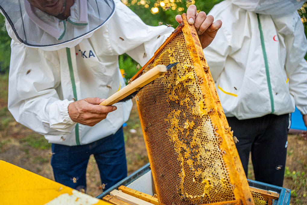 cadır_tika_kuva (2)