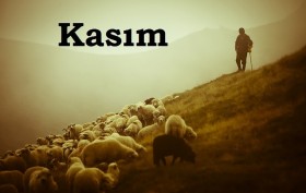 kasım_2025_1