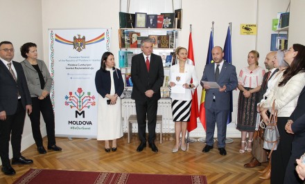 biblioteca_konsul_istanbul (1)